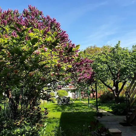 Apartman Apartament Z Dusza *