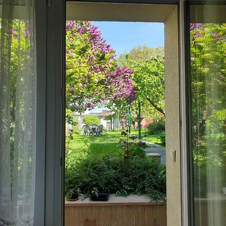 Apartman Apartament Z Dusza